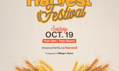 Harvest Festival 2024